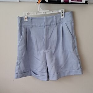 SHEIN Sky Blue Business Casual Shorts